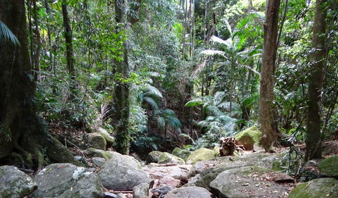 Wollumbin National Park - Accommodation 4U 2
