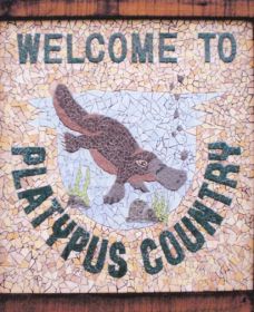 Cathcart Collectables - Accommodation 4U 0