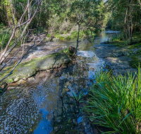 Dawson River walking track - Accommodation 4U