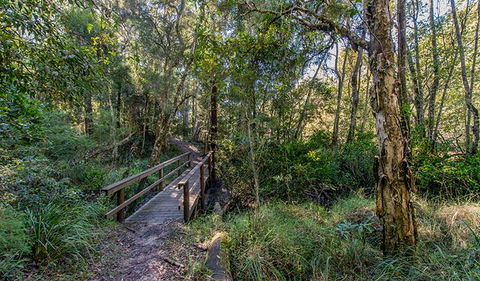 Dawson River Walking Track - Accommodation 4U 1
