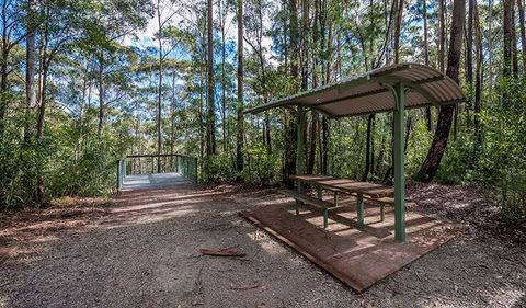 Big Nellie Lookout And Picnic Area - Accommodation 4U 0