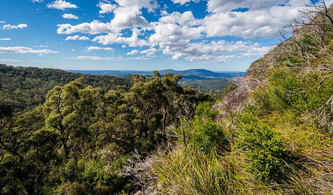 Big Nellie Lookout And Picnic Area - Accommodation 4U 2