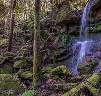 Coorabakh National Park - Accommodation 4U