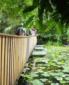 Dunoon NSW Accommodation 4U