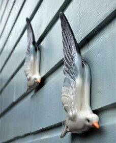 Kingstudio Gallery - Accommodation 4U 5