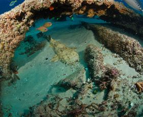 Aarhus Dive Site - Accommodation 4U 3