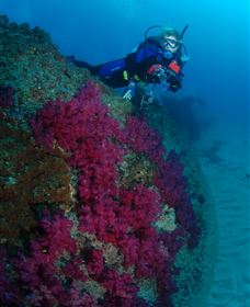 Aarhus Dive Site - Accommodation 4U 2