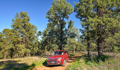 Wallingat Forest Drive - Accommodation 4U 0