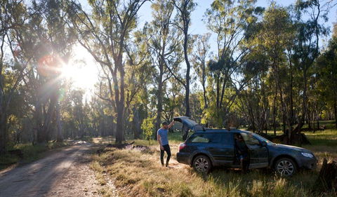 Wallingat Forest Drive - Accommodation 4U 1