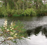 Wallingat National Park - Accommodation 4U