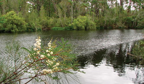 Wallingat National Park - Accommodation 4U 0