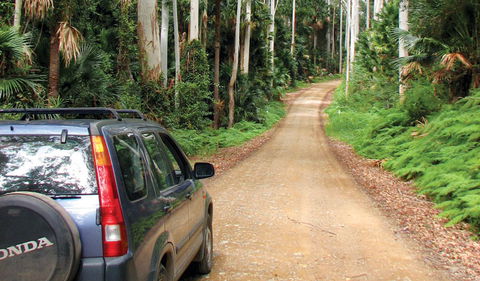 Wallingat National Park - Accommodation 4U 2