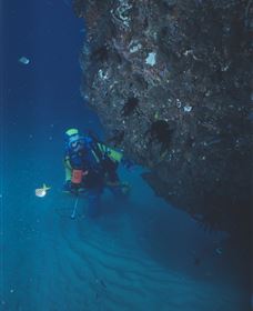 Scottish Prince Dive Site - Accommodation 4U 1