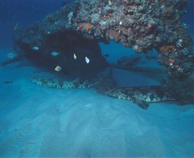 Scottish Prince Dive Site - Accommodation 4U 3