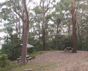 Orara East State Forest - Accommodation 4U 2