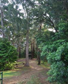Orara East State Forest - Accommodation 4U 1