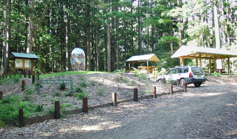 The Pines Picnic Area - Accommodation 4U 2