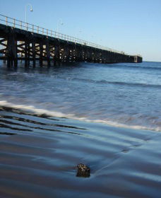 Jetty Beach - Accommodation 4U 0