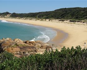Cape Conran Nature Trail - Accommodation 4U 1