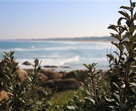 Cape Conran Nature Trail - Accommodation 4U 0