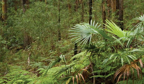 Booti Booti National Park - Accommodation 4U 2