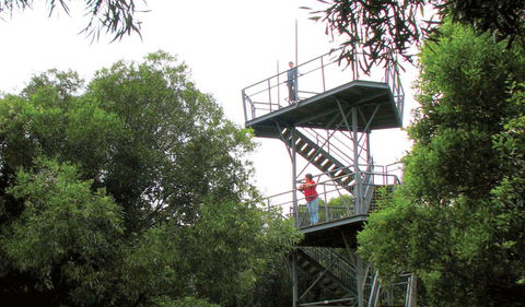 Cape Hawke Lookout - Accommodation 4U 0