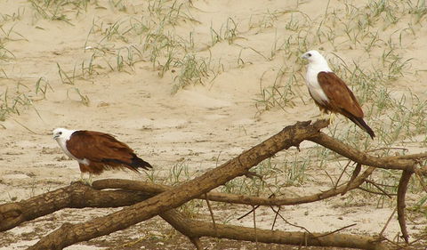 Broadwater National Park - Accommodation 4U 2