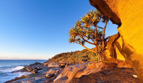 Angourie To Brooms Head - Accommodation 4U 1