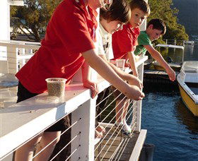Dunbogan Boatshed - Accommodation 4U 3
