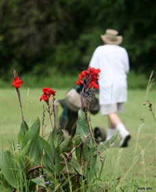 Teven Valley Golf Course - Accommodation 4U 3