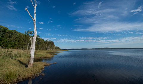 Lake Innes Nature Reserve - Accommodation 4U 0