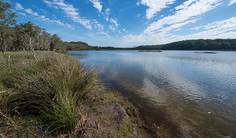 Lake Innes Nature Reserve - Accommodation 4U 1