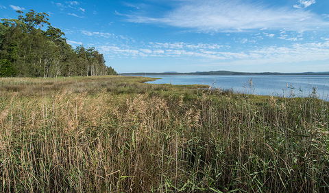 Lake Innes Nature Reserve - Accommodation 4U 3