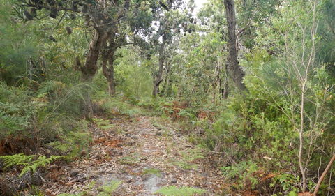 Kinchela Trig Lookout Walk - Accommodation 4U 0