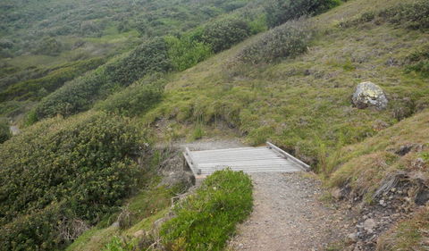 Connors Walking Track - Accommodation 4U 2