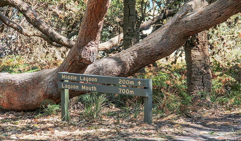 Yowrie NSW Accommodation 4U