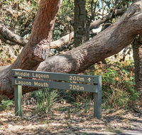 Middle Lagoon walking track - Accommodation 4U