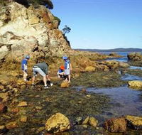 Sapphire Coast Marine Discovery Centre - Accommodation 4U