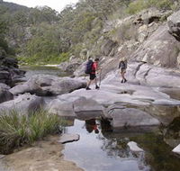 Nadgee Wilderness Walk - Accommodation 4U