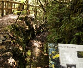 Philosopher Falls - Accommodation 4U 1
