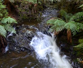 Philosopher Falls - Accommodation 4U 4