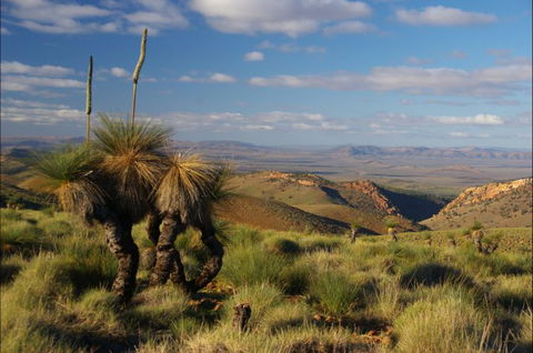 4WD Aussie Outback Adventures - Accommodation 4U 1