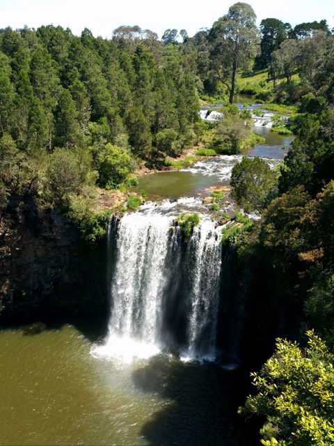A1 Coffs Coast Tours - Accommodation 4U 6