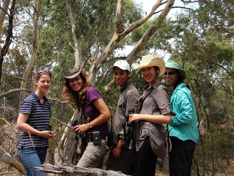 Echidna Walkabout Nature Tours - Accommodation 4U 0