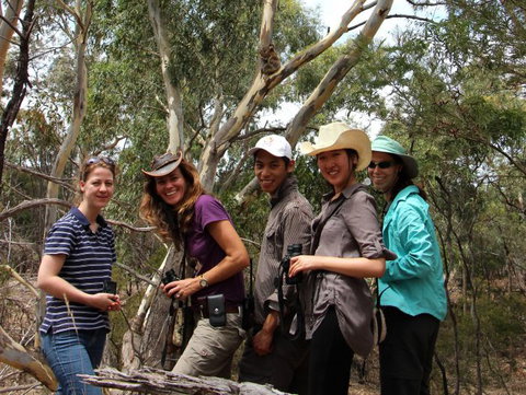 Echidna Walkabout Nature Tours - Accommodation 4U 4