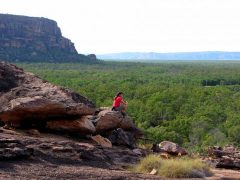 Echidna Walkabout Nature Tours - Accommodation 4U 21