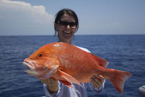 Absolute Ocean Charters - Accommodation 4U 3