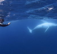 Sunreef Mooloolaba - Accommodation 4U