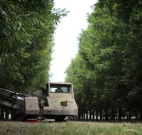 ODempseys Charters and Tours - Accommodation 4U