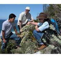 Sapphire Coast Ecotours